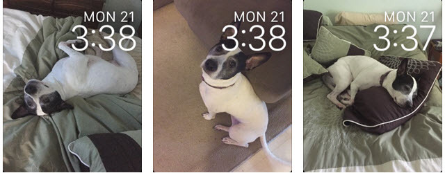 „watchOS2photofaces“