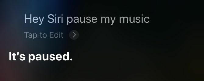 „Siri“ ekranas pristabdo muziką „iPhone“