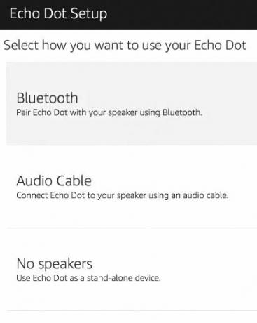 Kaip nustatyti ir naudoti „Amazon Echo Dot 06 Echo Dot“ garso parinktis