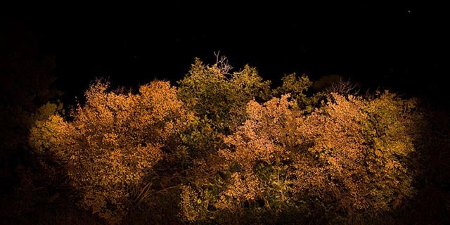 fotografija esant silpnam apšvietimui - tapyba