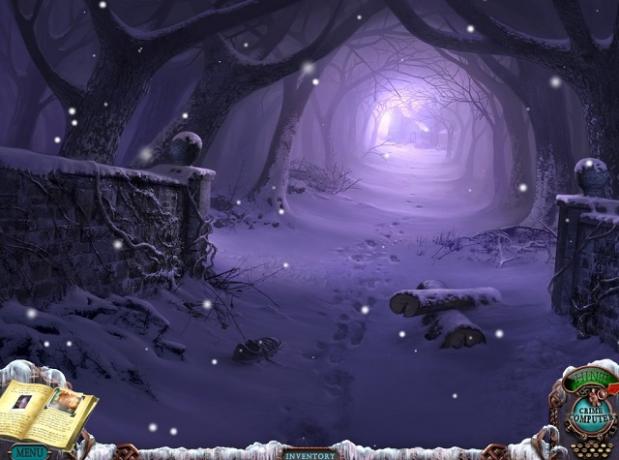 Vis dar iš „Mystery Case Files“ „Dire Grove“