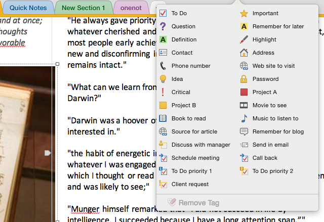 „OneNote“ žymės