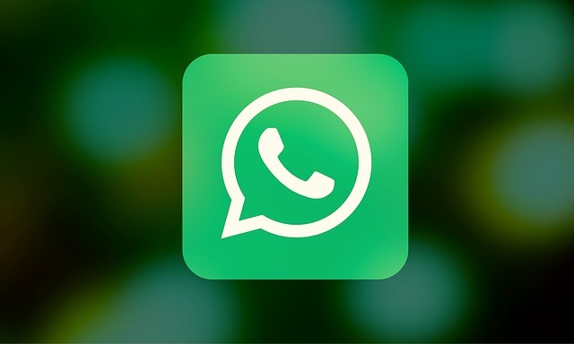 twitter-whatsapp-logotipas
