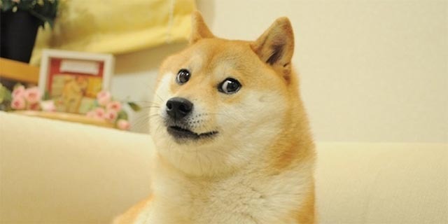 dogecoin-kas-yra-doge