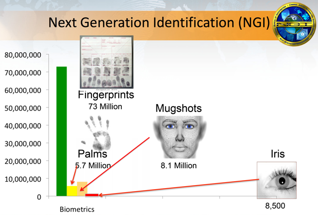 ngi-turinys