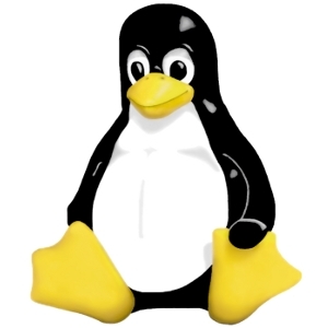 sudarykite savo Linux branduolį