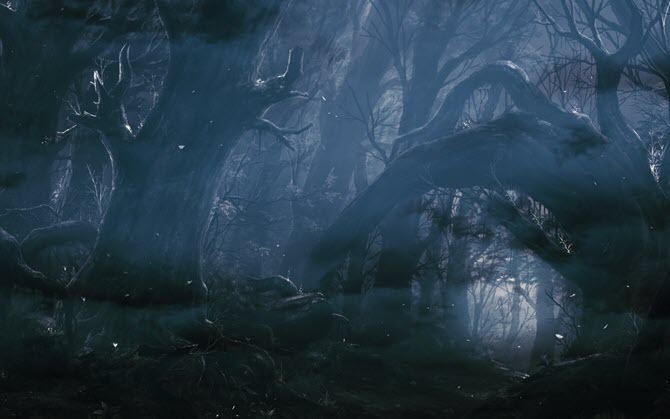 „Dark Forest“ tapetai iš „WallHaven“