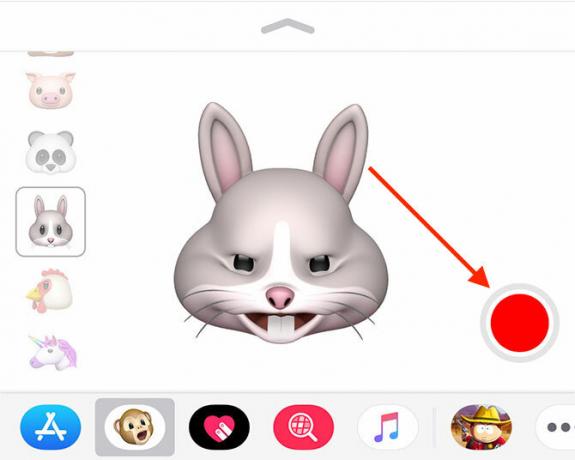 kaip išsaugoti ir siųsti animoji iphone x
