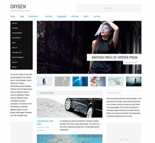 žurnalo WordPress tema