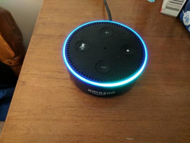 Kaip nustatyti ir naudoti „Amazon Echo Dot 02 Echo Dot“ žibintų nustatymą