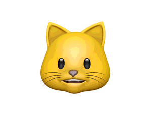 kaip išsaugoti ir siųsti animoji iphone x
