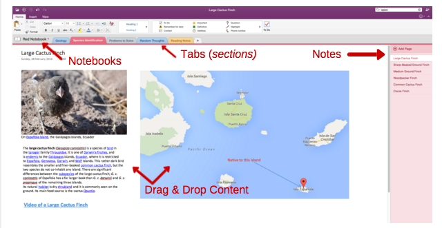 „OneNote“ organizacija