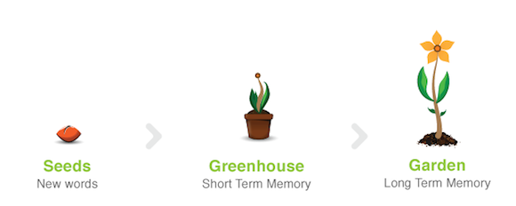 Memrise-Garden-Process mokytis užsienio kalbos