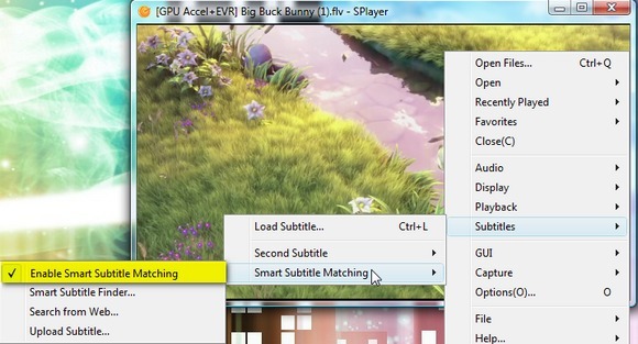 „Splayer“ – nešiojamas „Play-All Media Player“, skirtas „Windows 6“.