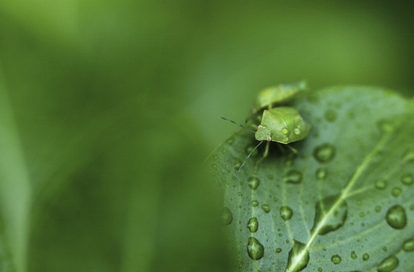 unikalios fotografijos idėjos