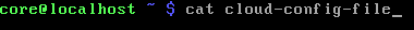 „CoreOS Cat Cloud Config“