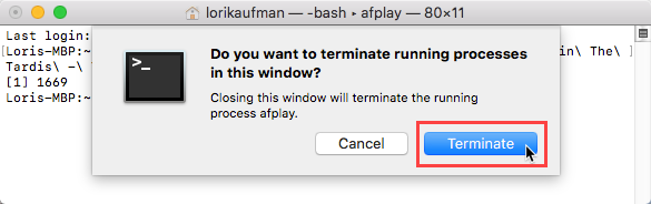 Spustelėkite Baigti, jei norite procesą „Terminal“ lange, „Mac“